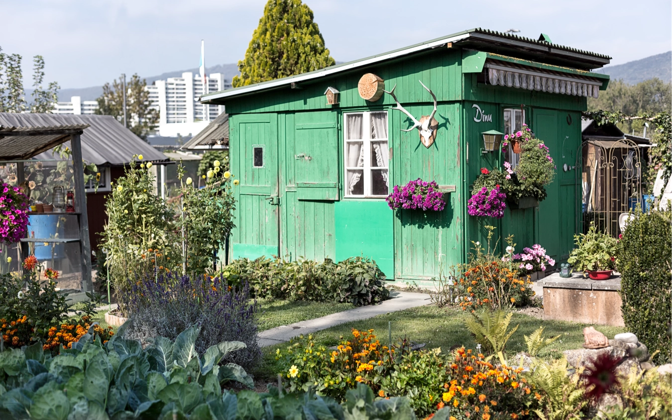 Eine grüne, selbst gezimmerte Gartenlaube aus Holz mit sichtbaren Spuren von Eigenarbeit, dekoriert mit Geweih und Blumenkästen in einem Nutzgarten.